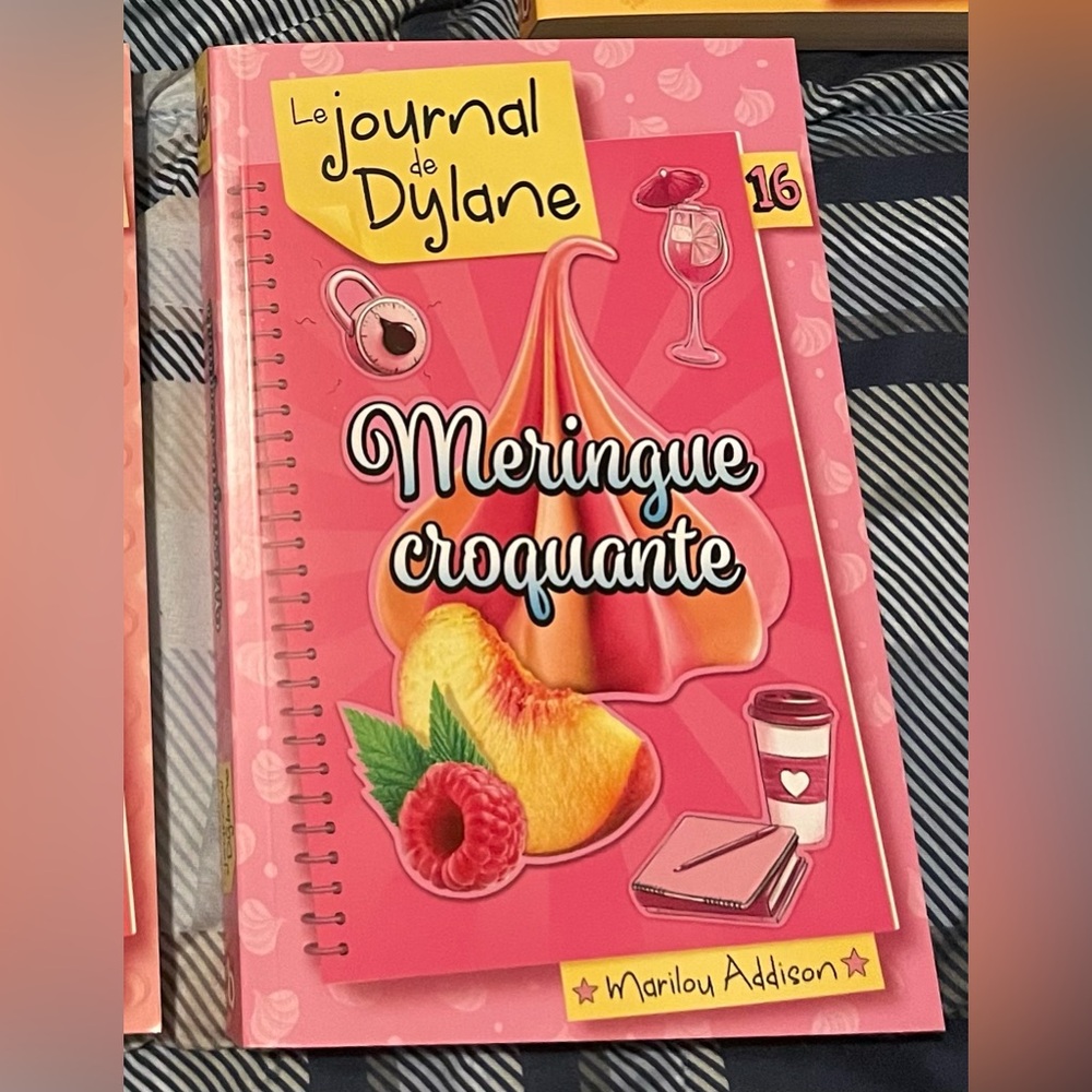 Le journal de Dylane- Meringue croquante book